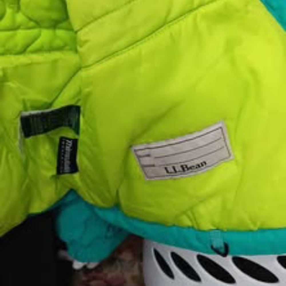 $75 L.L. Bean Neon Green Puffer Jacket